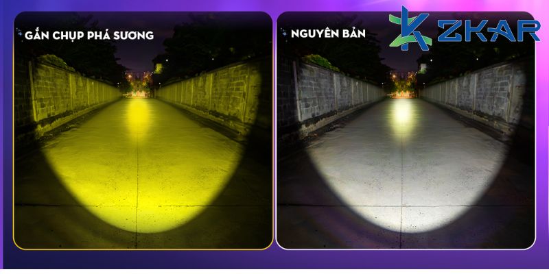 Nhiệt Màu Và Đa Dạng Tính Năng